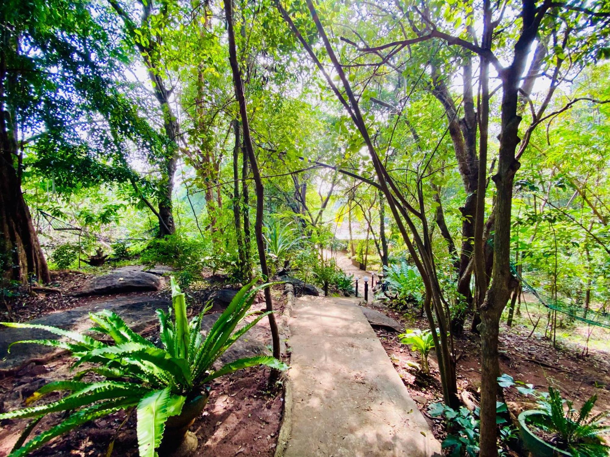 Green House Resort Sigirîya Extérieur photo